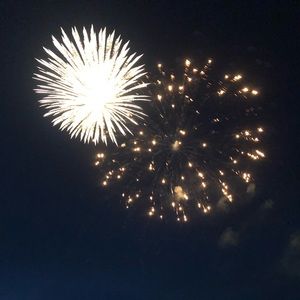 Meet your Posher, Lily